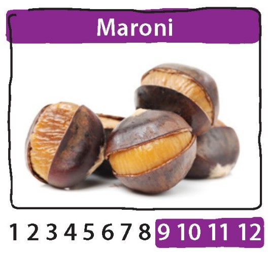Saisonkalender mit Maroni